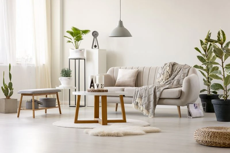 home sofa